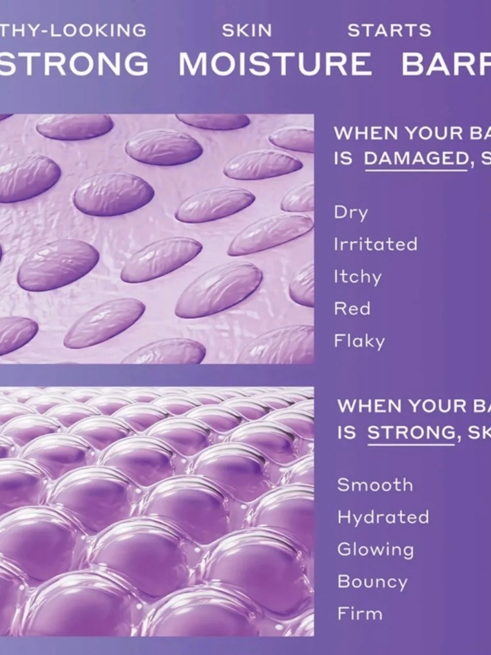 Ole Henriksen HydraBarrier Nourishing Face Oil — mauve rose